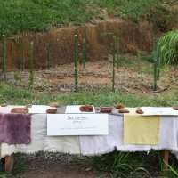installazione-orto-botanico