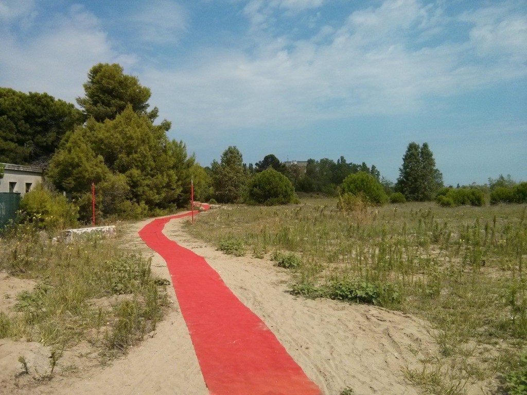 red carpet